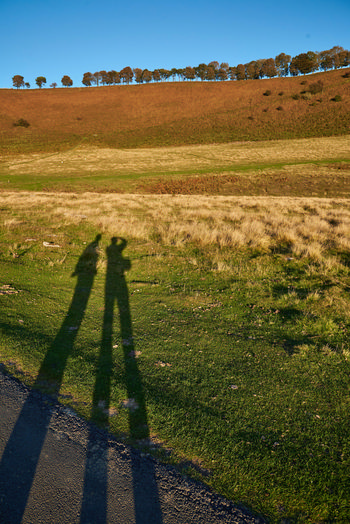Autumn shadow This landscape photograph taken in the late afternoon during the autumn season depicts the long shadows of two people cast across a grassy area in the North Yorkshire Moors, located in the rural countryside of the United Kingdom. The image was captured in 2018 and showcases the main subject, which is the autumn shadow stretching over the terrain. In the background, a row of trees stands along the top of a gently sloping hill under a clear blue sky, highlighting the natural beauty characteristic of this area. The scene reflects the changing colors of autumn in nature, with golden grasses and earthy tones across the hillside in this rural part of England.